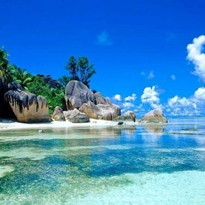 Meet your Posher, Tanya